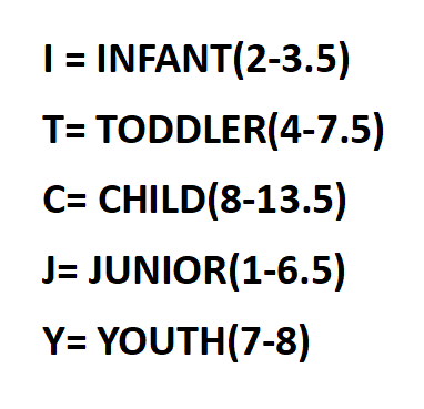 Skechers Kid's Shoutouts 2.0 - Trendy Star Shoe