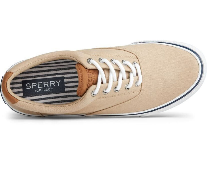 Sperry Men's Striper II CVO Shoe