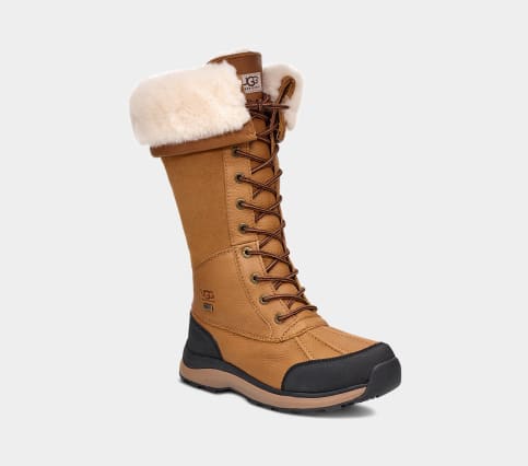 Ugg Women's Adirondack Tall Boot