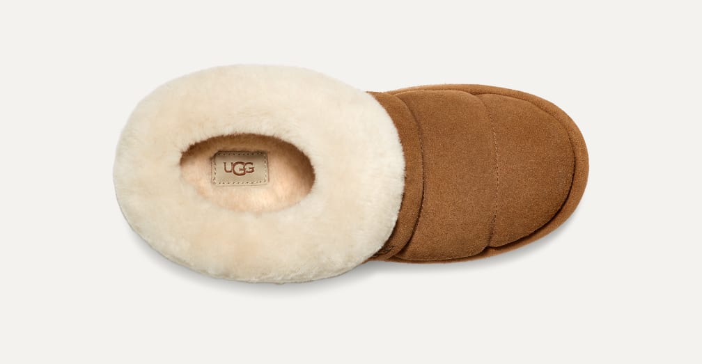 Ugg Women's Tazzlita Slipper