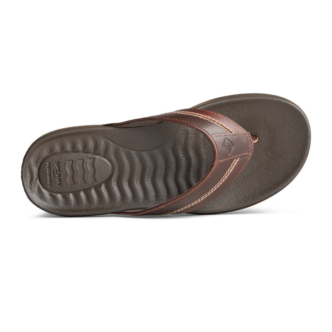 Sperry Men's Plushwave Dock Sandal